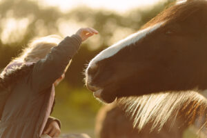 A girl’s love for Horses